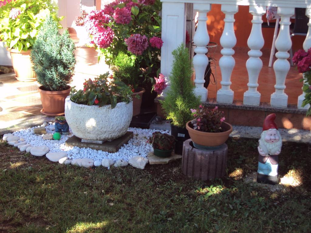Apartment Gogo Umag Room photo