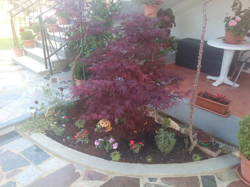 Apartment Gogo Umag Exterior photo